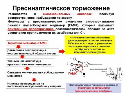 Рефлексы доведенные до автоматизма