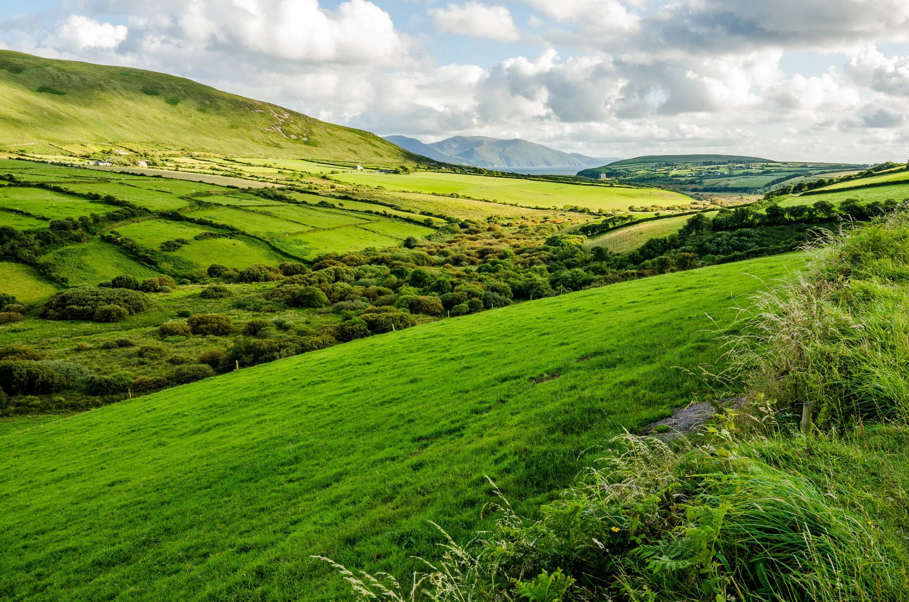Село зелени. Центральная низменность Ирландия. Кейдские поля Ирландия. Зеленые холмы Ирландии. Равнины Ирландии.