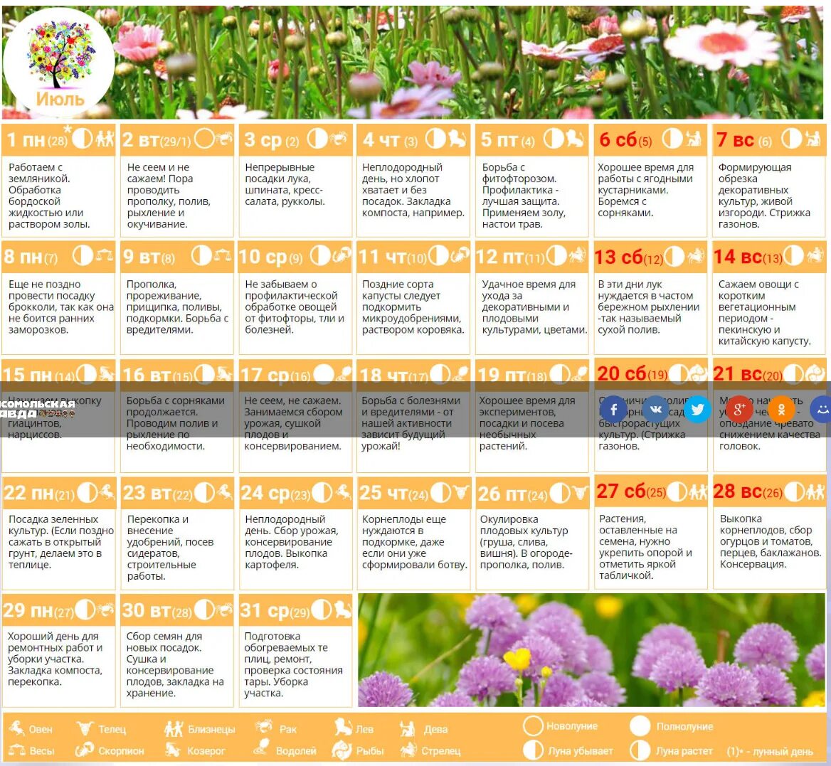 Календарь дача. Лунный календарь для растений. График садовода огородника. Календарь дачных работ.