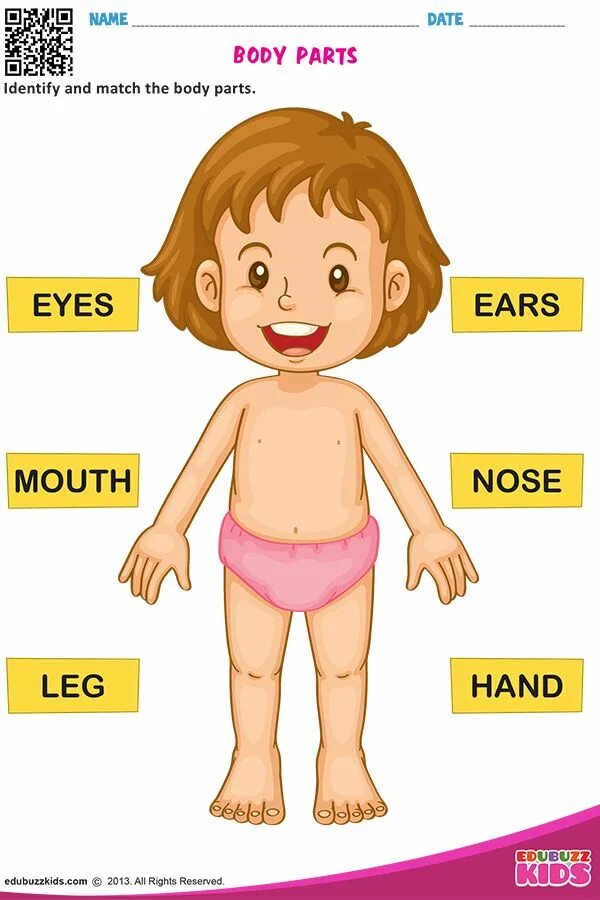 Ca part of body. Body parts. body parts картинка. body parts for kids. body parts match.