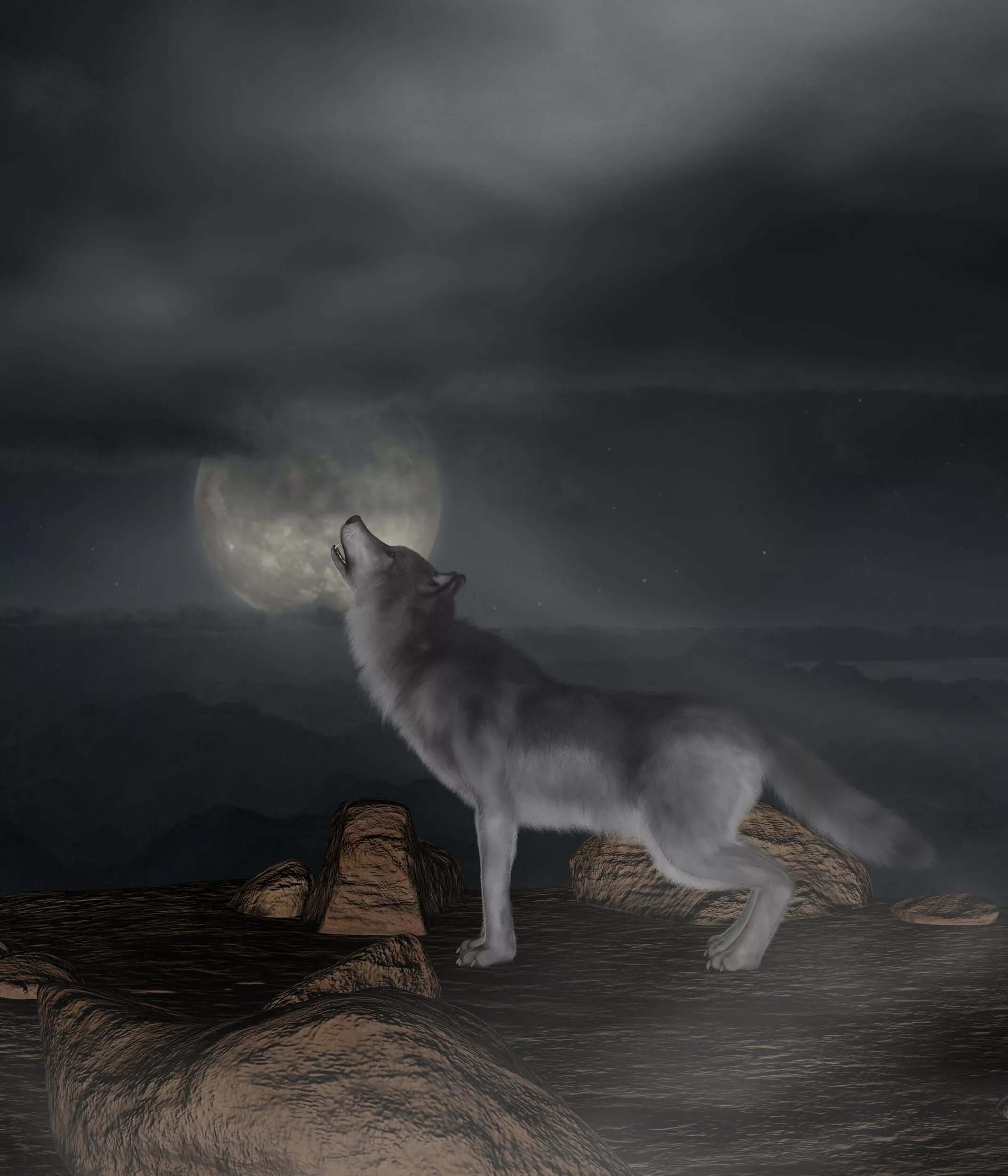 Одинокая волчица ночью. Волк в ночи. Крадущийся волк. Воющий волк. Полная Луна и волк.