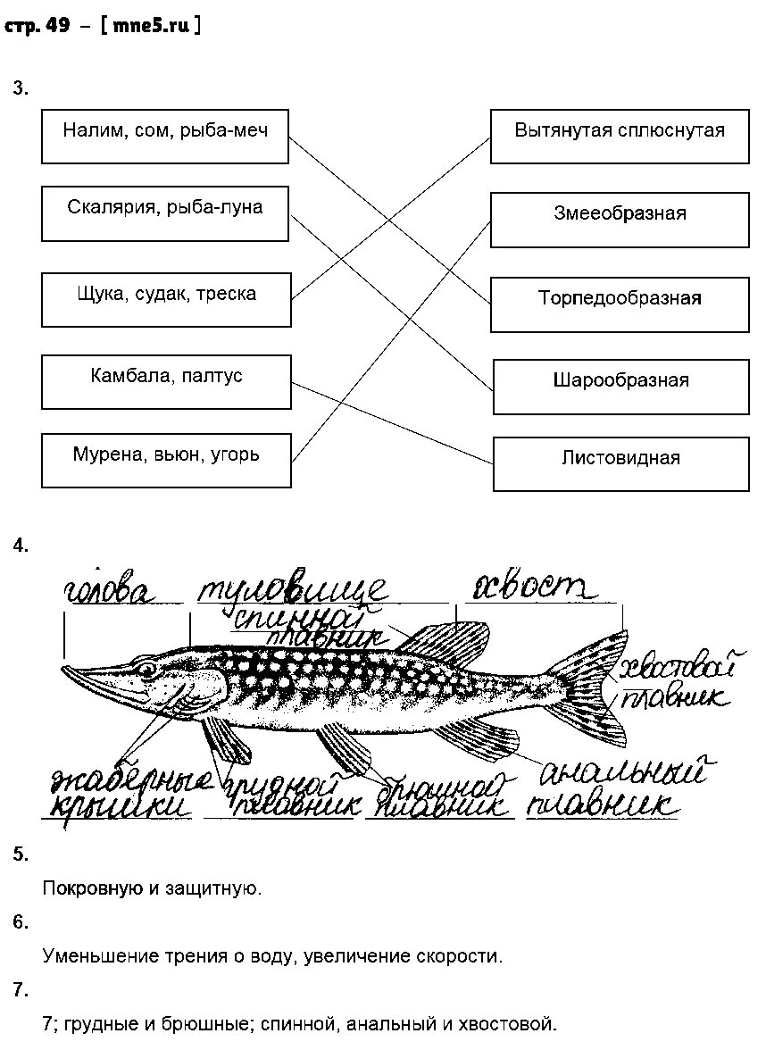 Лабораторная по биологии 7 класс рыбы. 7 класс латюшин биология таблица класс рыб. внешнее строение рыбы 7 класс биология. биология 7 класс латюшин. учебник биологии латюшин.