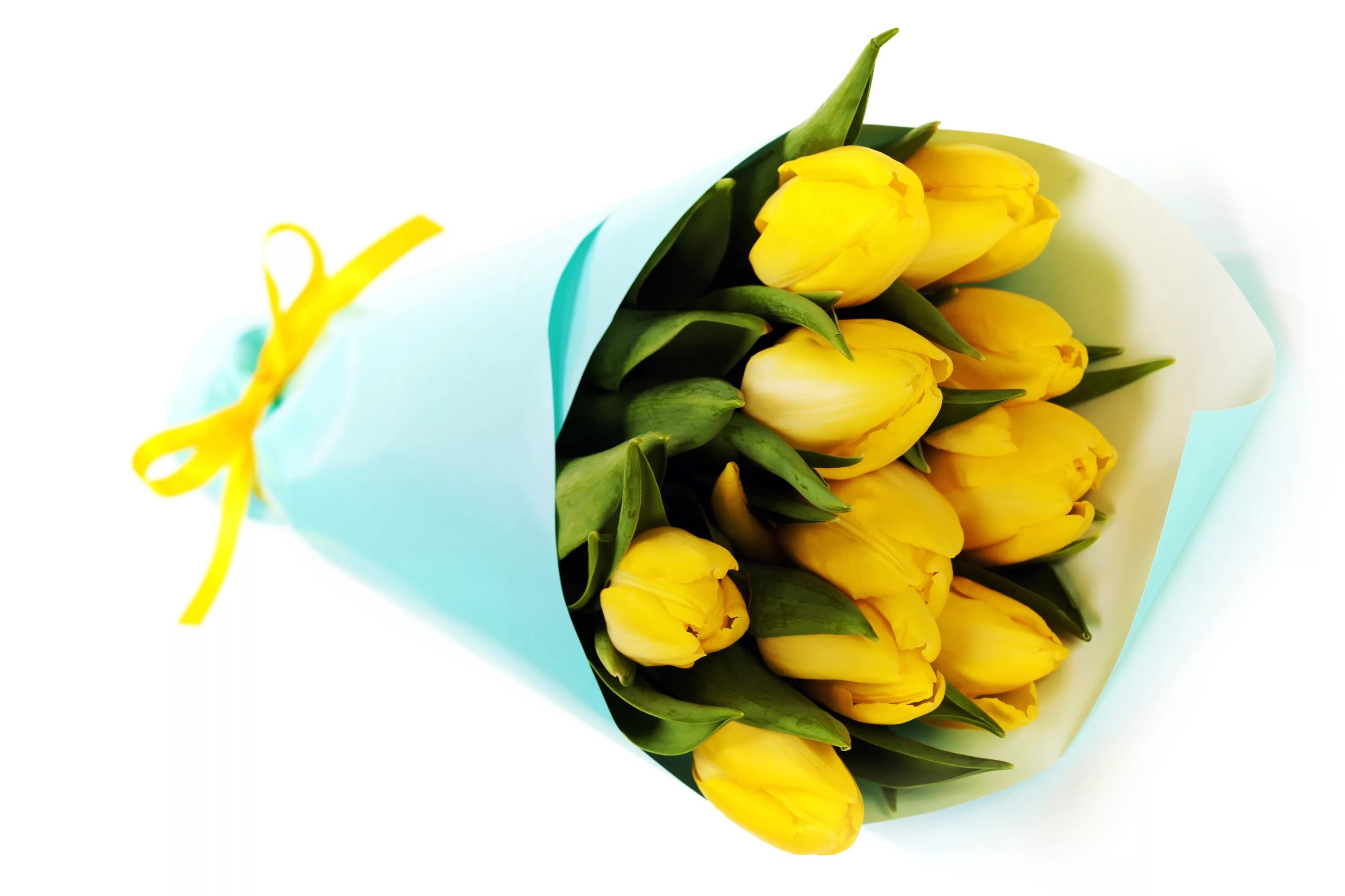 Желтые тюльпаны. Букет желтых тюльпанов. Тюльпаны открытка. Открытки с желтыми тюльпанами.