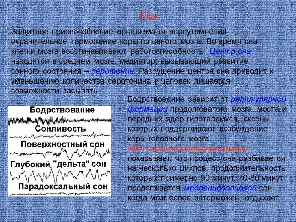 Процесс торможения в коре головного мозга. Торможение в коре головного мозга. Затормажение кары головного мозга. Охранительное торможение мозга. Глубокий и парадоксальный сон.