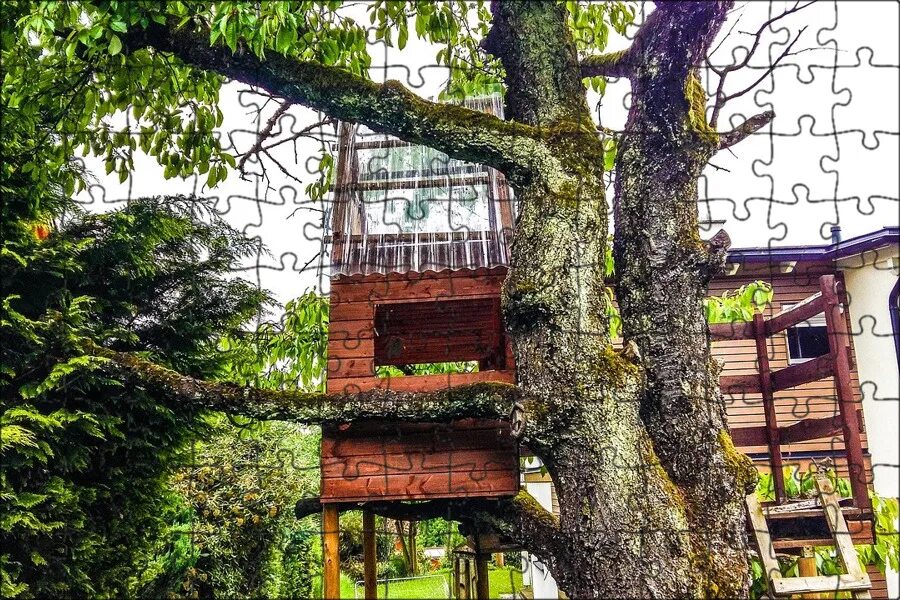 Необычные деревянные дома. Трихаус. А четыре домик из плёнки на дереве. Домик в деревне. 24 в домики на дереве.