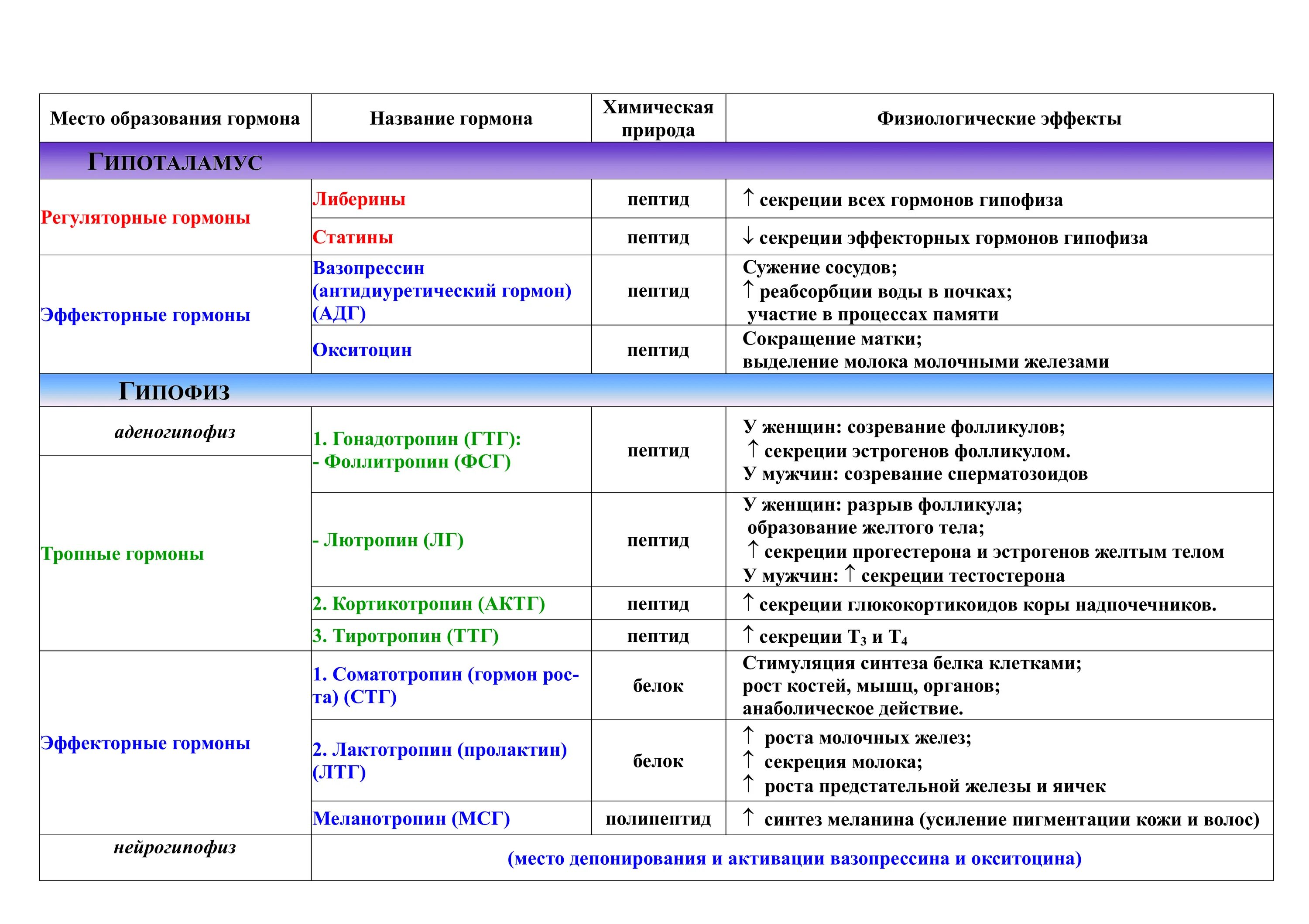 Эс таблица. Гормоны место синтеза и функции. Таблица по гормонам биохимия. Основные гормоны и их функции таблица физиология. Функции гормонов таблица.
