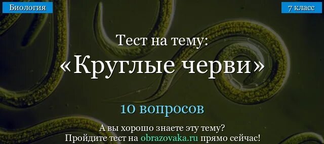 Тесты по червям 7. Круглые черви 7 класс биология. Биология 7 класс тема круглые черви. Круглые черви тест. Тест по теме черви.