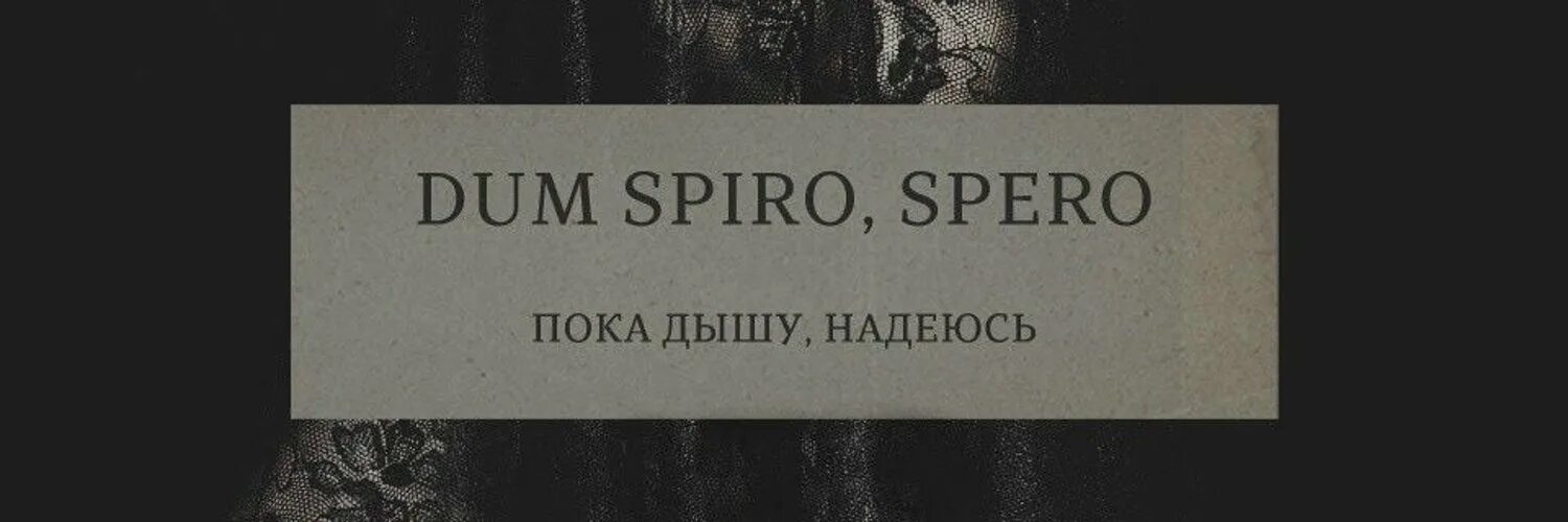 Dum латынь перевод. Dum spiro spero пока дышу надеюсь. пока дышу надеюсь на латинском. дум спиро сперо перевод с латыни на русский. dum spiro spero перевод на русский с латыни.