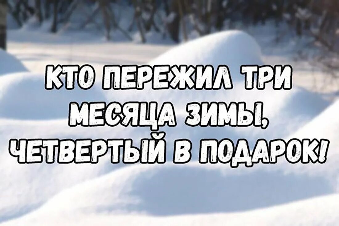 Плохо переносит зиму. Четвертый месяц зимы в подарок. смешные зимние высказывания. приколы про зиму. перезимовать весну.