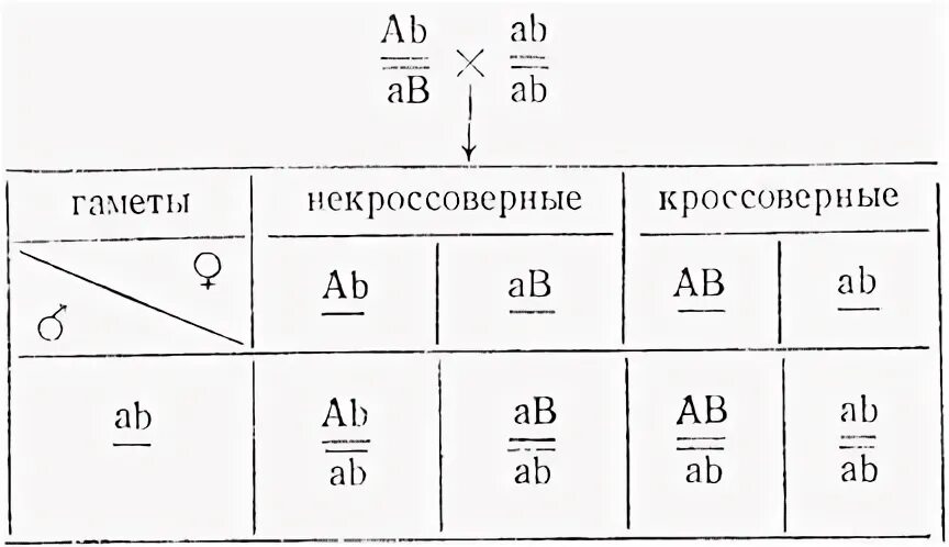 Кроссоверные особи