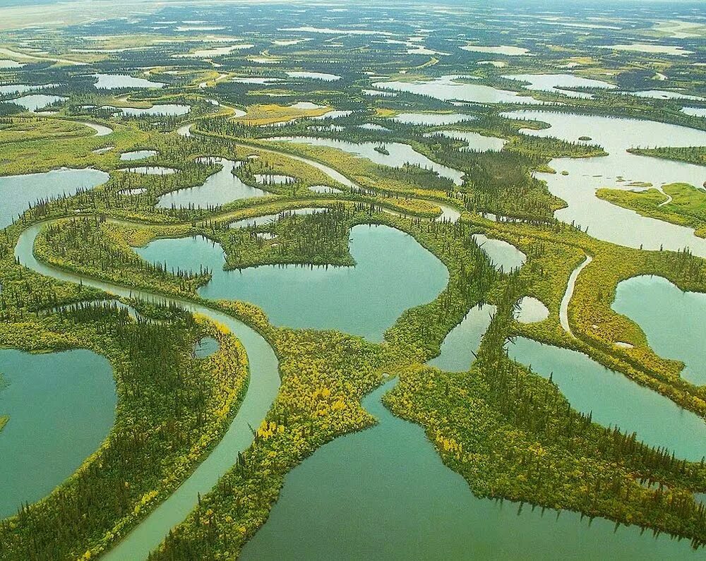 В каких бассейнах крупных рек расположена канада. Река маккензи канада. дельта реки маккензи. устье реки маккензи. река маккензи северной америки.