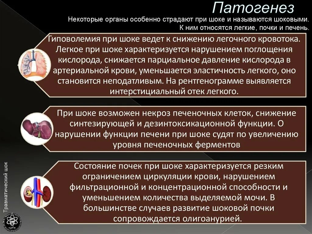 Нарушение жизненных функций организма. Особенности функции легких при шоке. изменение функции легких при шоке. нарушение функции органов при шоке. шоковый орган это патофизиология.