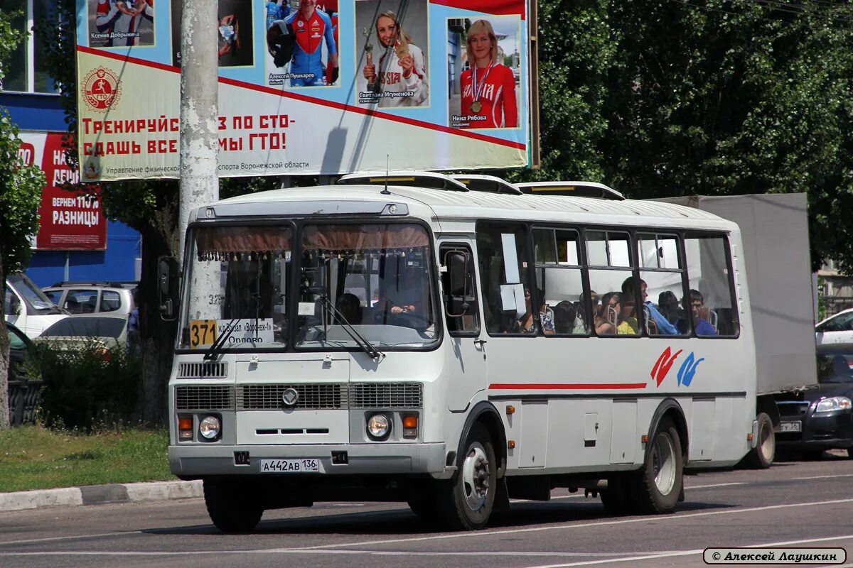 Автобус 442а пермь. Автобус 371. Маршрут автобуса 371. Автобус 371 Воронеж. Автобус 136.