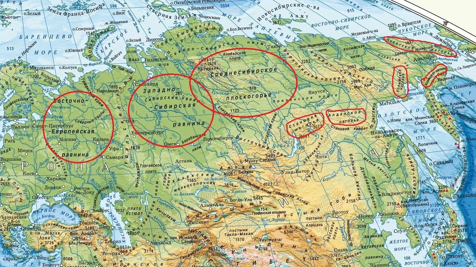 Рельеф и полезные ископаемые европейского севера. Центры промышленности европейского севера россии. Рельеф и геологическое строение европейского севера. Природные условия европейского северо запада. Карта рельефа северного экономического района.