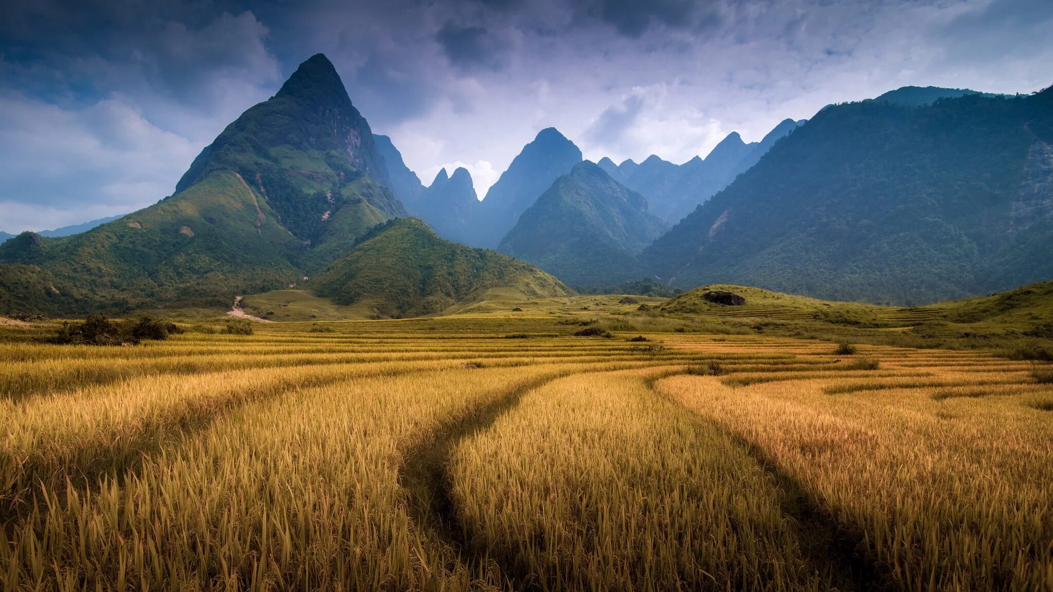 Best vietnam. Гора Фаншипан. Горы Вьетнама 4к. Вьетнам равнина. Северное Нагорье Вьетнам.