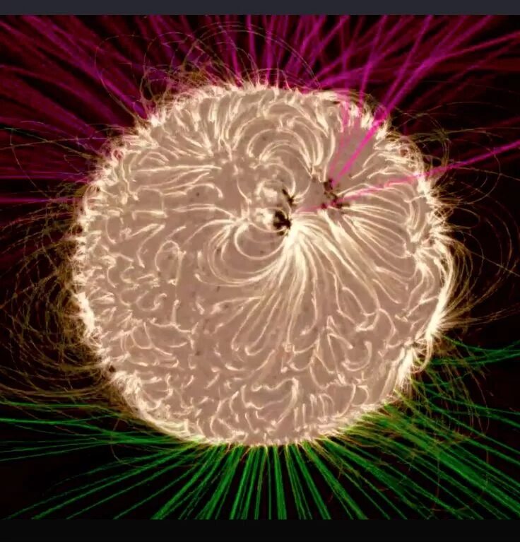Мозг магнитное поле. Магнитное поле солнца. Магнитное поле земли. Magnetic field visualization. Два магнитных поля.