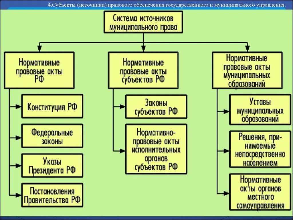 Исполнительный орган бюджетного учреждения