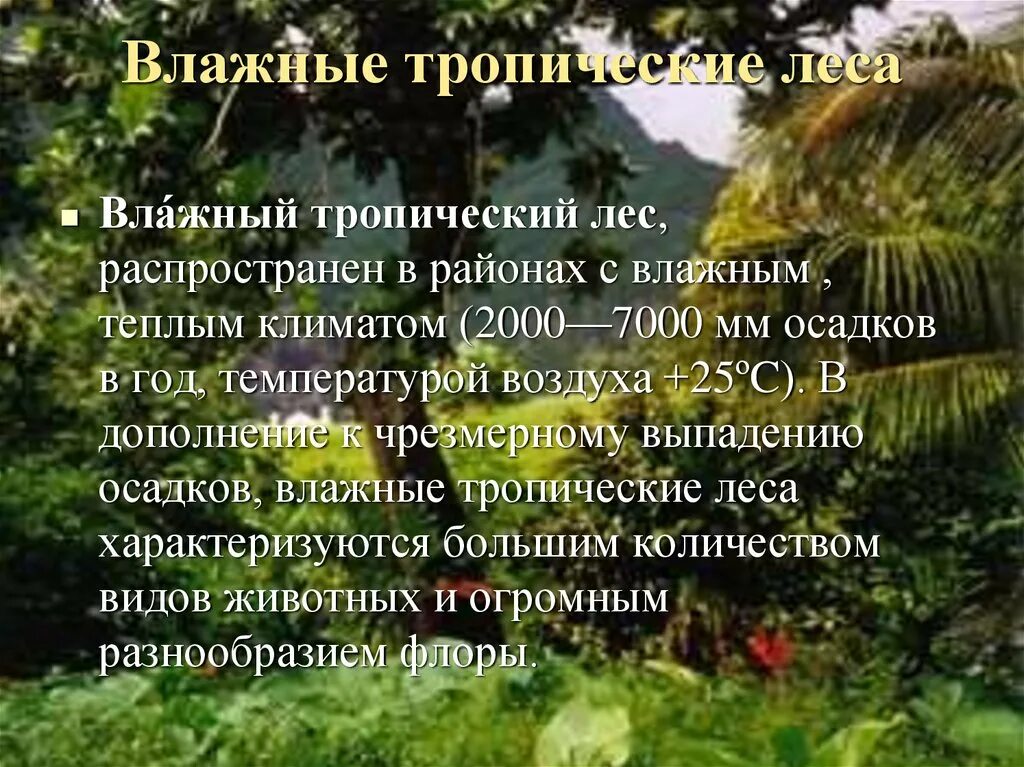 Влажные тропические леса описание природной зоны. Зона тропических лесов животные. Природные зоны влажные тропические леса. Тропические леса климат растения. Влажные экваториальные тропические ленса.