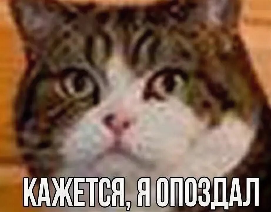 Часы Кот Пора Мем Images and Photos finder