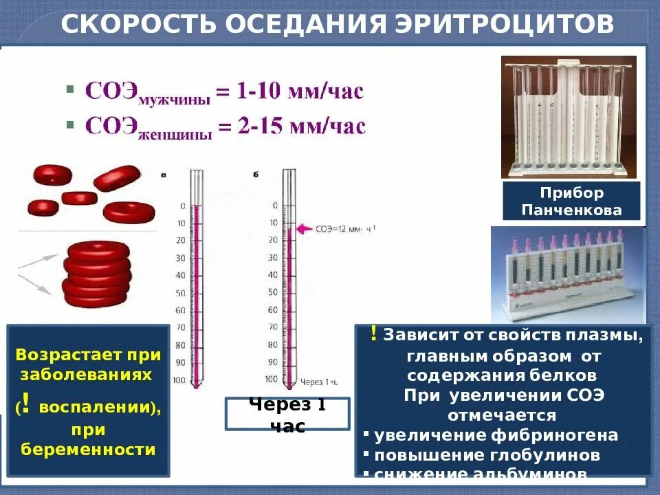 Что значит соэ в крови у женщин. Физиологическое повышение СОЭ. Измерение СОЭ по методу Панченкова. Метод Панченкова СОЭ методика. СОЭ В крови по методу Панченкова повышен.