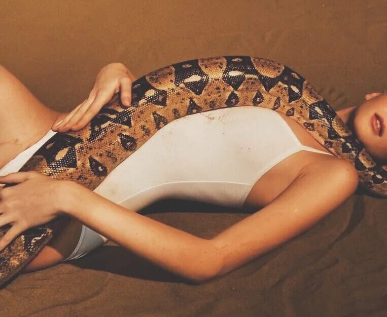 You ever seen a snake