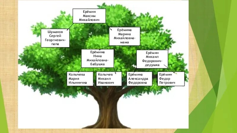 Родословная 2 класс. Проект родословная. Древо семьи по окружающему. Проект моя родословная.