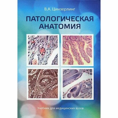 учебник по анатомии для медицинских вузов. учебник тонкова по анатомии. анатомия человека. учебник по анатомии для медицинских вузов. гайворонский иван васильевич анатомия.