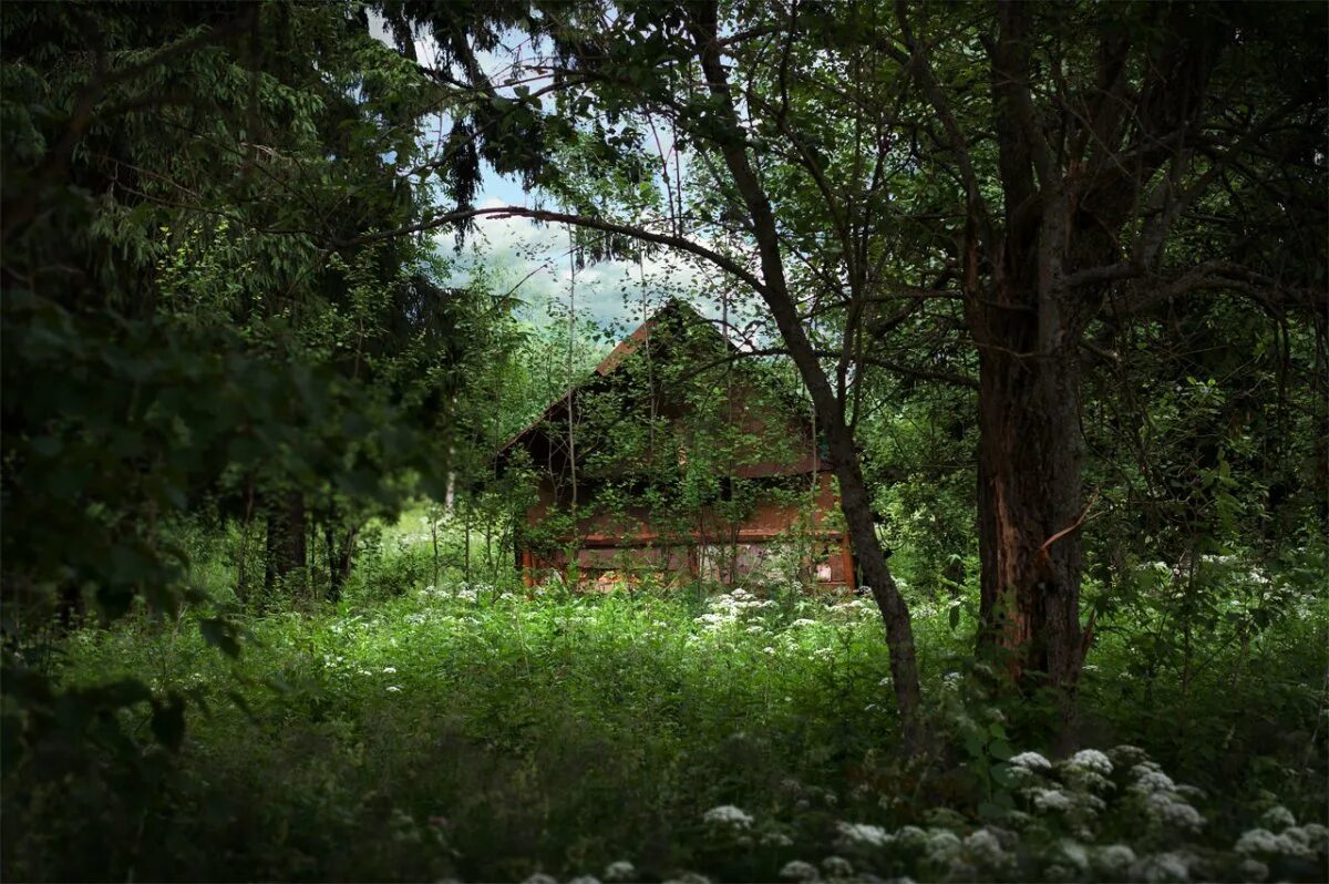 друскининкай лес избушка. хаттфьелльдал норвегия избушка. домик лесника. домик лесника. друскининкай лес избушка.