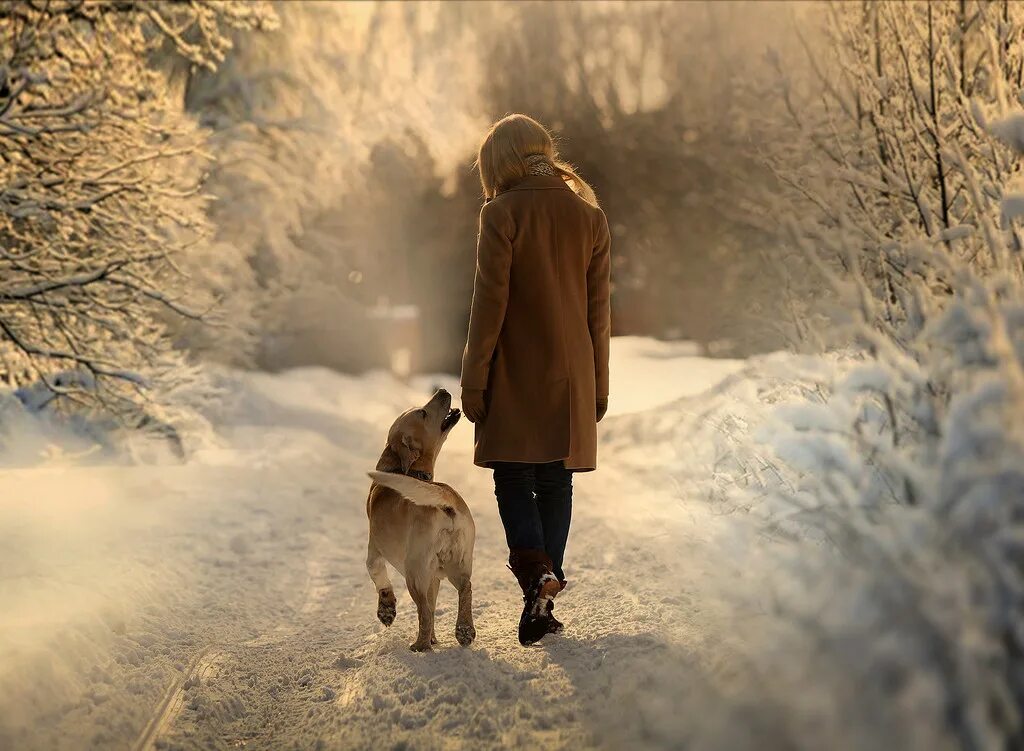 Walking in winter