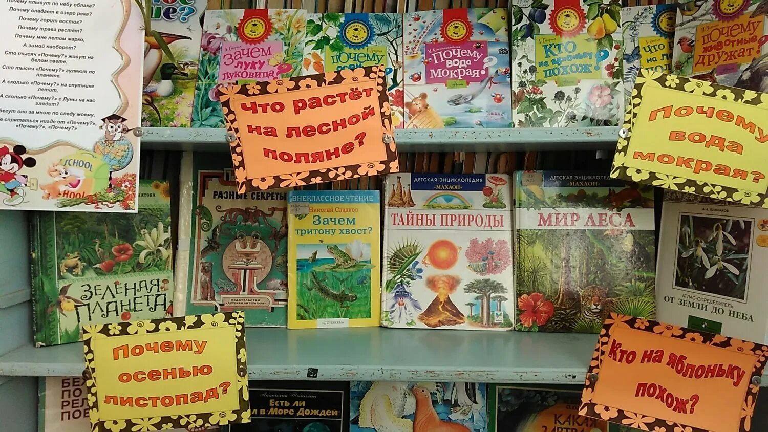 Название выставки детских книг в библиотеке. Выставки книг для детей в библиотеке. выставки в библиотеке. книжные выставки в библиотеке. интересные книжные выставки.