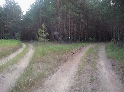Глухой указывал дорогу