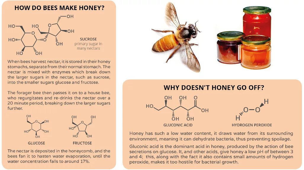 Мед после химии. Структурная формула меда. Химическое строение меда. Химическая формула меда. Структурная формула мёда пчелиного.