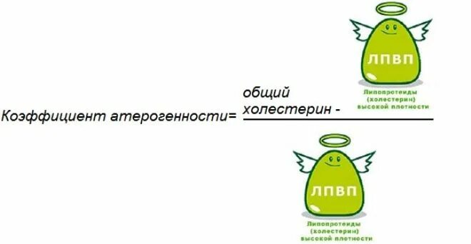 Коэффициент атерогенности холестерина. Шутки про холестерин. Общий холестерин коэффициент атерогенности. Атерогенность холестерина.