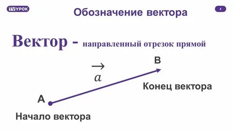 Случайный вектор это