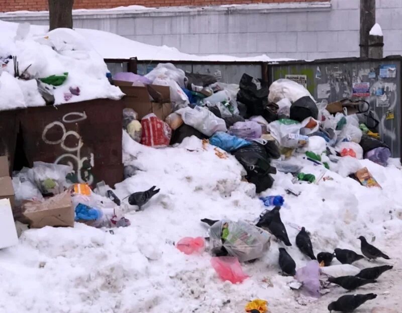 Завалена мусором. Завалена мусором контейнерная площадка. Площадка ТБО завалена. Завал снегом мусорная площадка. В Барнауле мусорные ящики завалены мусором - бардак..