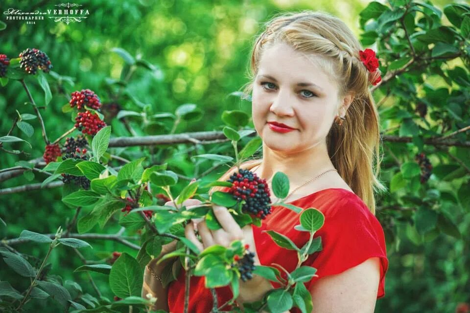 Алиса ивана. Алиса ивана