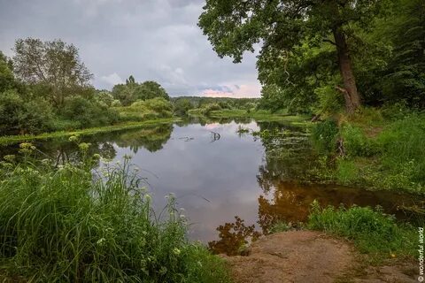 Реки луги