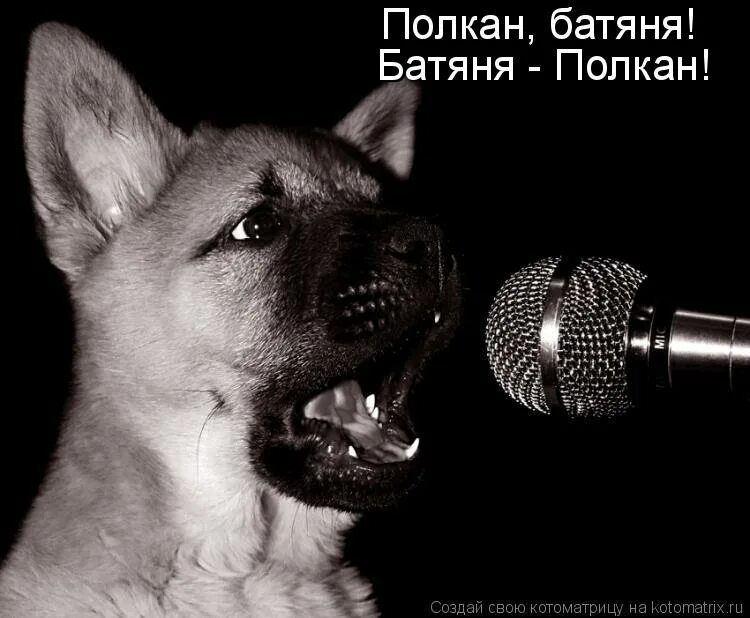 спеть вид. вид со сцены. спеть вид. спеть вид. спеть вид.