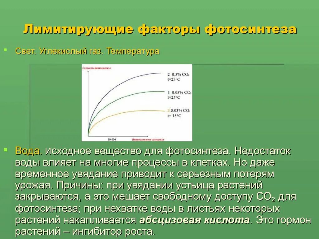 Картинки ВЛИЯНИЕ УСЛОВИЙ НА ИНТЕНСИВНОСТЬ ФОТОСИНТЕЗА