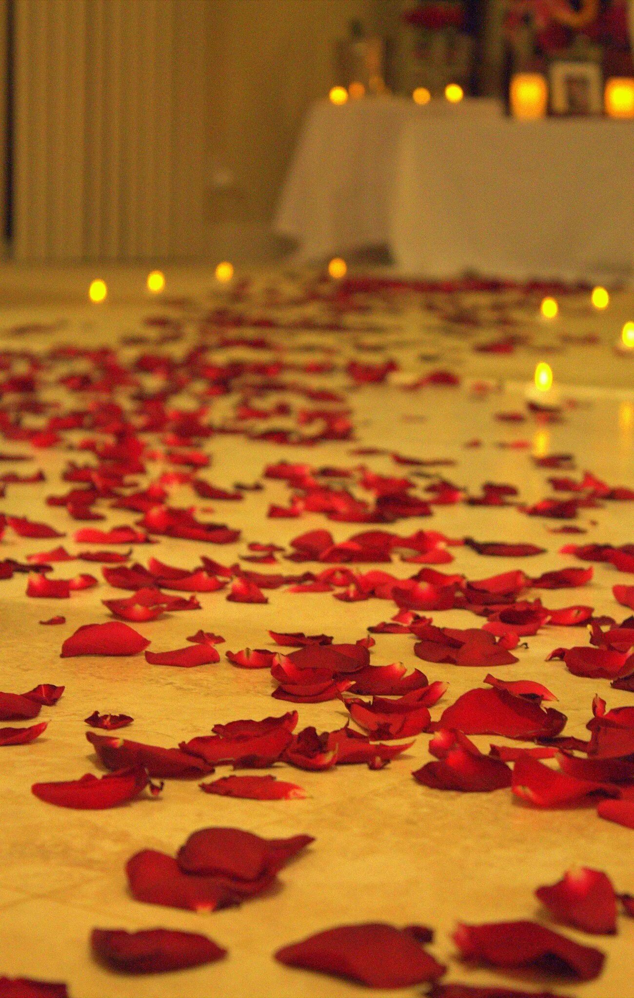 простынь усыпанная лепестками. лепестки роз. кровать усыпанная лепестками роз. простынь усыпанная лепестками. лепестки роз на кровати.