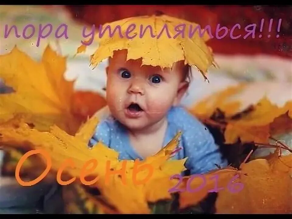 Кто родился осенью. Пожелания осенним именинникам. Человек родился осенью. Кто родился осенью. Люблю осень осенью рождаются лучшие.