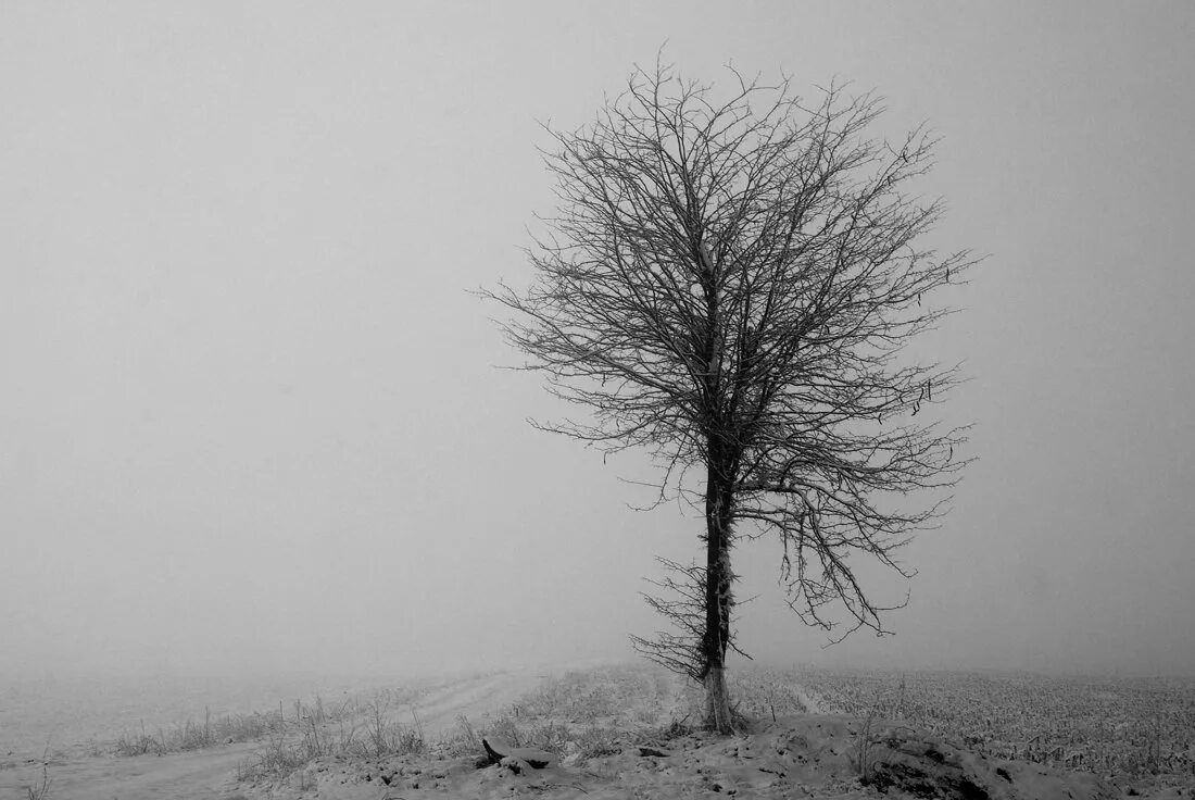 Меланхолия грусть. Меланхоличный пейзаж. Меланхолия картинки. Меланхоличный пейзаж. Меланхолия картинки.