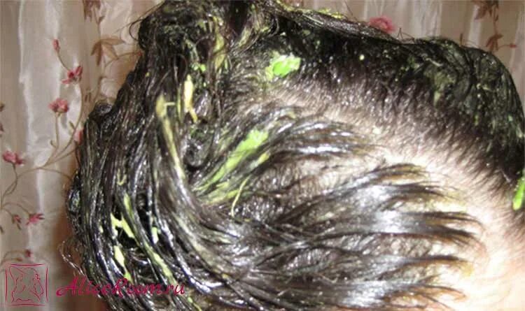 Являются ли волосы живыми. Кожа головы после химической завивки. Луковица волоса.