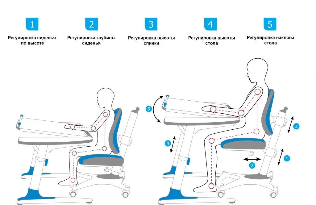 Правильная высота стола. Правильная высота стола для ребенка. Правильная регулировка высоты парты. Стол с регулировкой высоты. Высота стула для школьника.