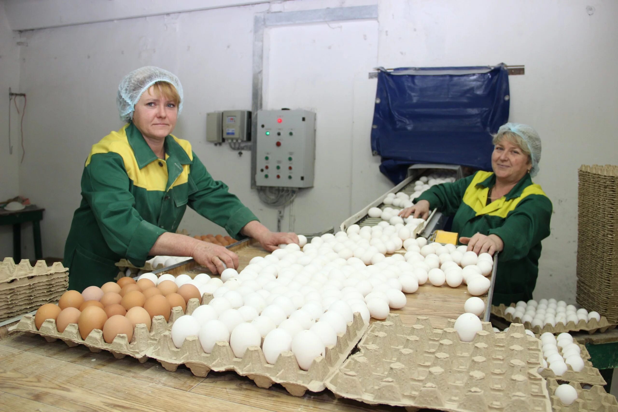 Фасовка овощей на производстве. Вакансии женщин работа краснодарский край. Жена на работе. Работница завода. Краснодарский завод бондюэль.