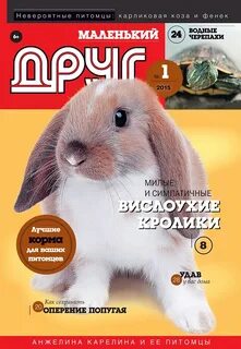 Журнал маленький