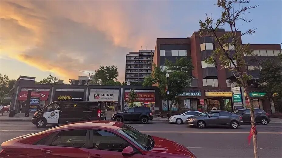 17 avenue. 17 avenue. 17 avenue. Ave-17hcfrl. Скарлетт авеню 17.