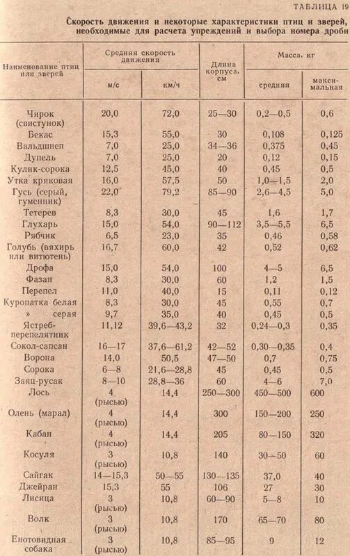 Сколько скорость птицы