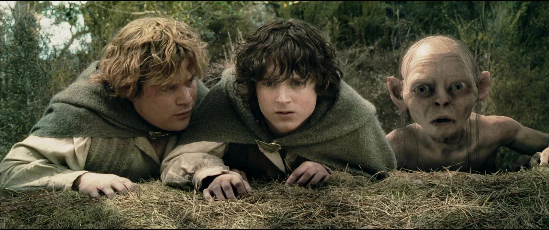 Властелин колец Гэндальф Фродо Сэм. Хоббит Фродо. Властелин колец Фродо и Сэм Кадр. Как называются части властелина колец