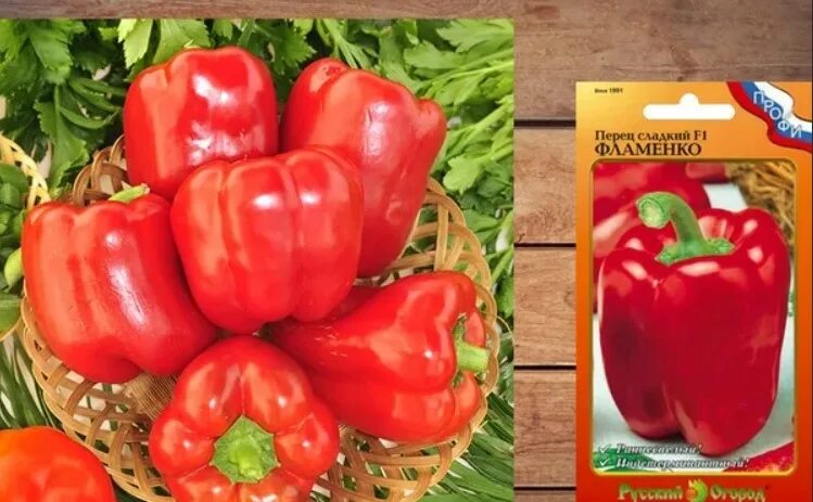 Перец фламенко семена. Перец сладкий фламенко f1. Перец сладкий фламенко f1 на кусту. Перец фламенко f1. Перец фламенко f1 сладкий русский огород.